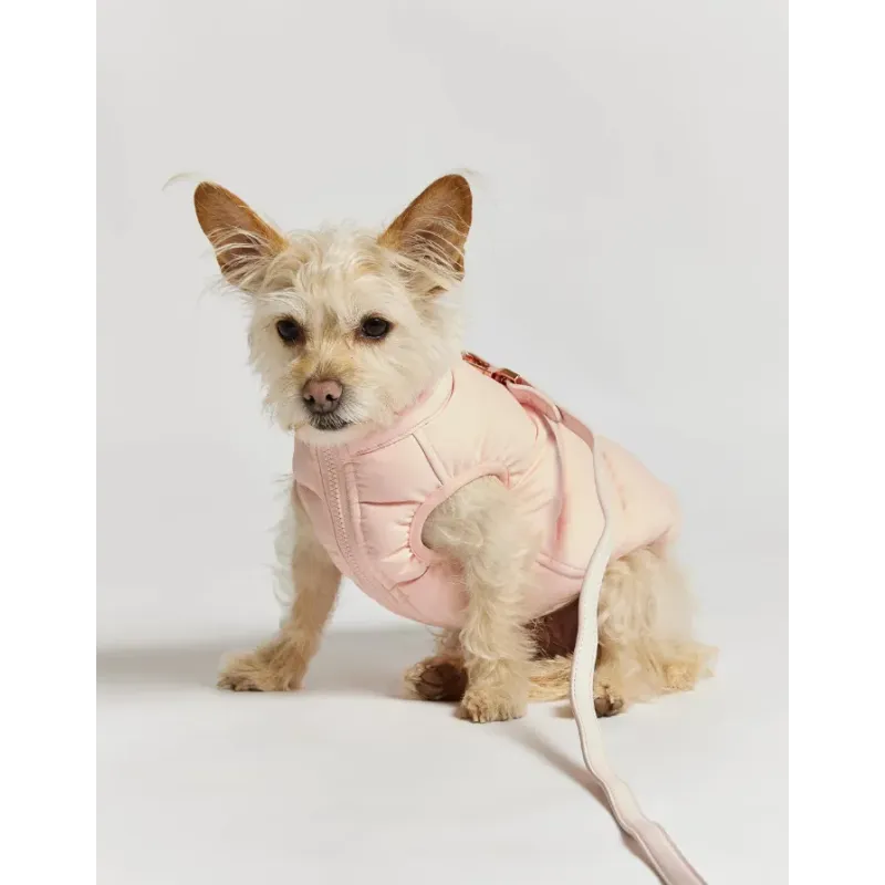 Doudoune pour Chien Réversible - Rose-Lilas - Style & Douceur