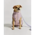 Doudoune pour Chien Réversible - Rose-Lilas - Style & Douceur
