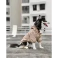 Imperméable Beige pour Chien Stylé - Élégance & Confort