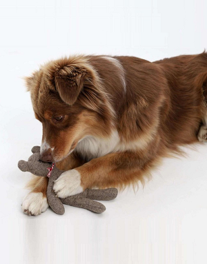 doudou-chien-calme-anti-stress-ours