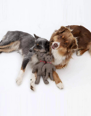 chien-dormant-avec-doudou-ours-bella-concept-store-dog