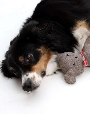 peluche-chien-haut-de-gamme-dogs-in-the-city