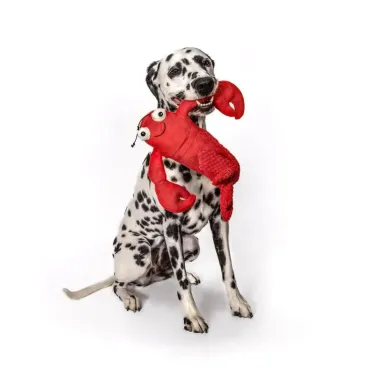 doudou-chien-peluche-homard-doux