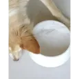 Gamelle pour chien marbre de carrare véritable - Élégance Italienne Unique