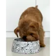 Gamelle en pierre naturelle Terrazzo pour chien - Stable, élégante & durable