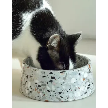 accessoire haut de gamme pour chien et chat - Bella Concept Store Dog