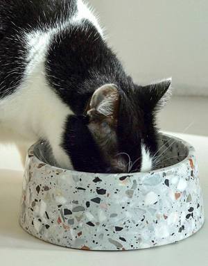 accessoire haut de gamme pour chien et chat - Bella Concept Store Dog