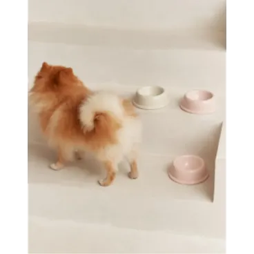 Petit chien mangeant dans une gamelle rose design – Bella Concept Store Dog