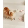 Gamelle rose pour chien & chat en céramique - Cafide