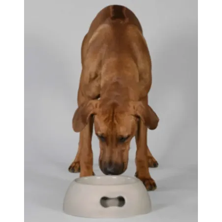 Gamelle pour chien stable et design - Pappy United Pets