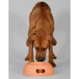Gamelle pour chien design orange - Antidérapante & écologique