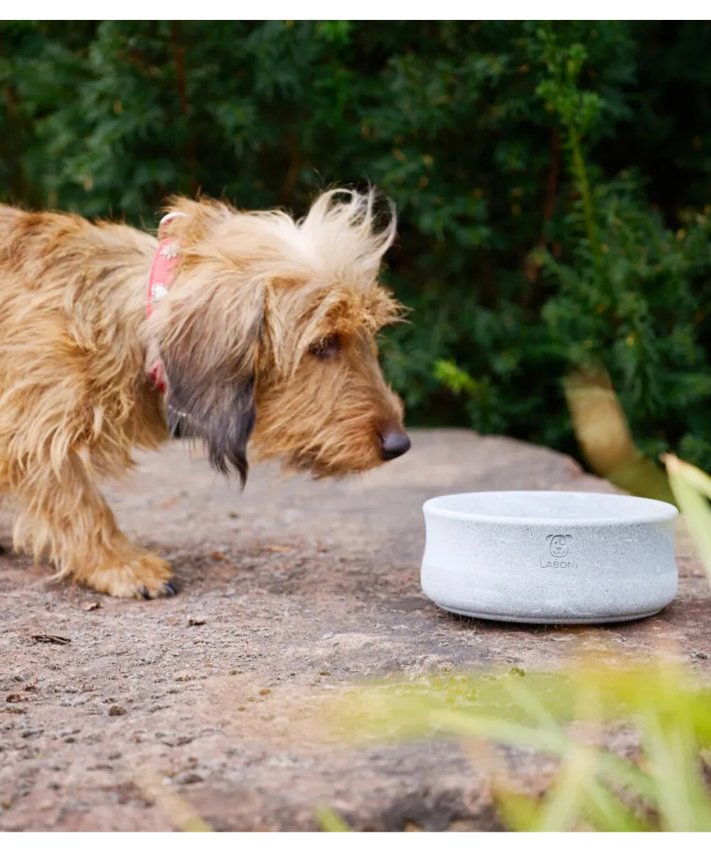 Petit chien profitant de son repas dans une gamelle design LABONI en pierre.