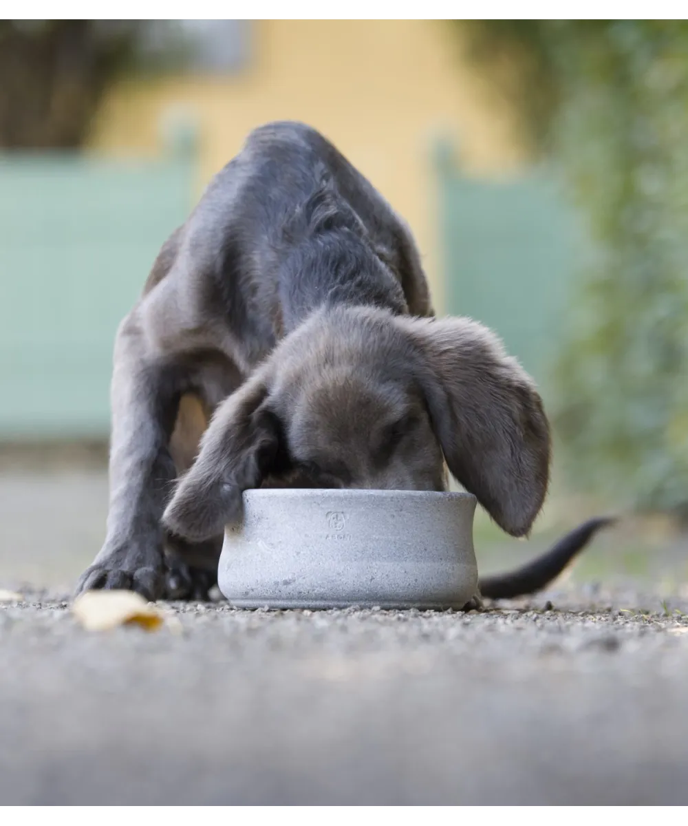 Gamelle design en pierre naturelle Rocky par LABONI - Écuelle haut de gamme pour chien et chat.