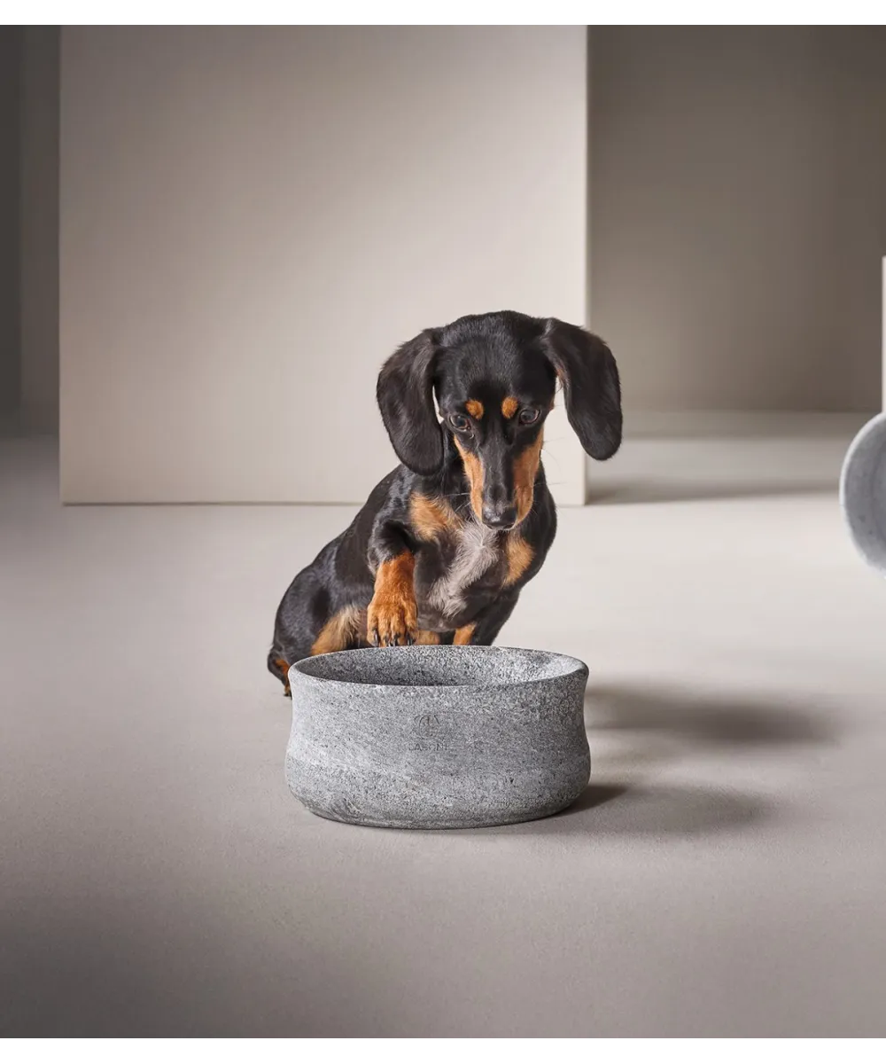 Chiot mangeant ses croquettes dans une gamelle de luxe en pierre naturelle Rocky.