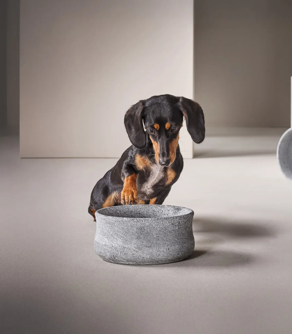Chiot mangeant ses croquettes dans une gamelle de luxe en pierre naturelle Rocky.