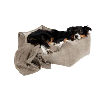 Chien couché dans le lit Cosy en velours beige et plaid assorti