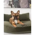 Coussin pour chien design Luna lounge Oxford olive - Laboni