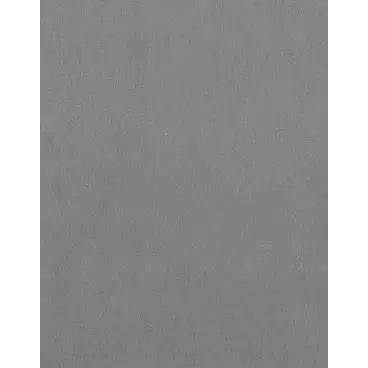 Zoom texture matière velours gris - Bella concept store dog