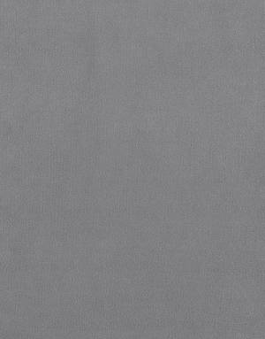 Zoom texture matière velours gris - Bella concept store dog