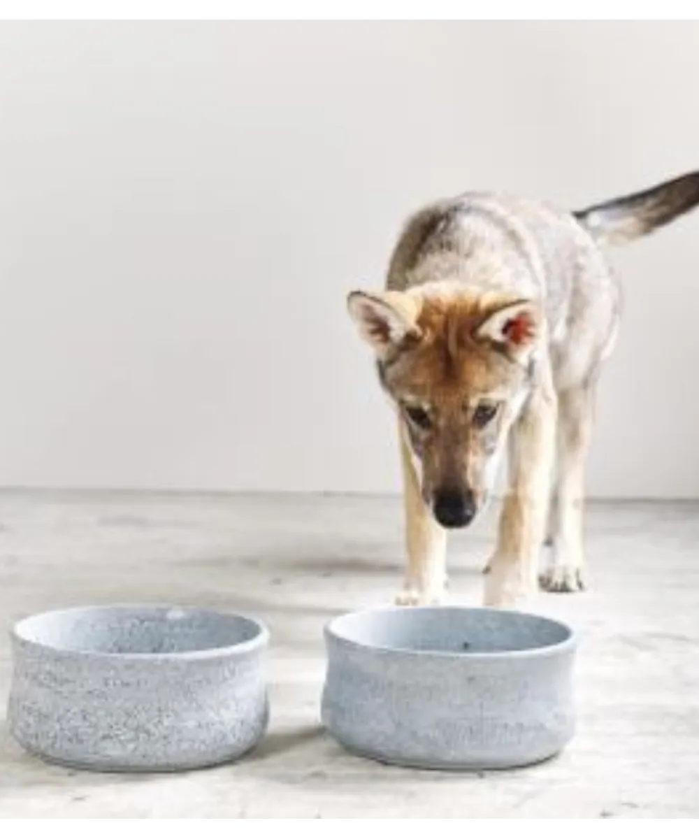 Chien se reposant à côté d'une gamelle de luxe en pierre naturelle Rocky LABONI