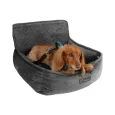 Siège Auto pour chien design - Sécurisé & confort