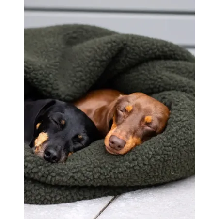 Sac de couchage gigoteuse pour chien - Cocoon douillet