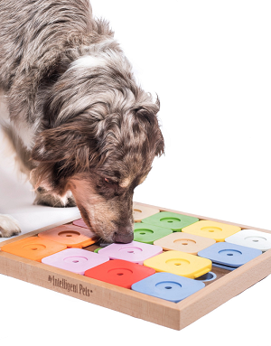jeu-occupation-chien-anti-ennui-bella-concept-store-dog