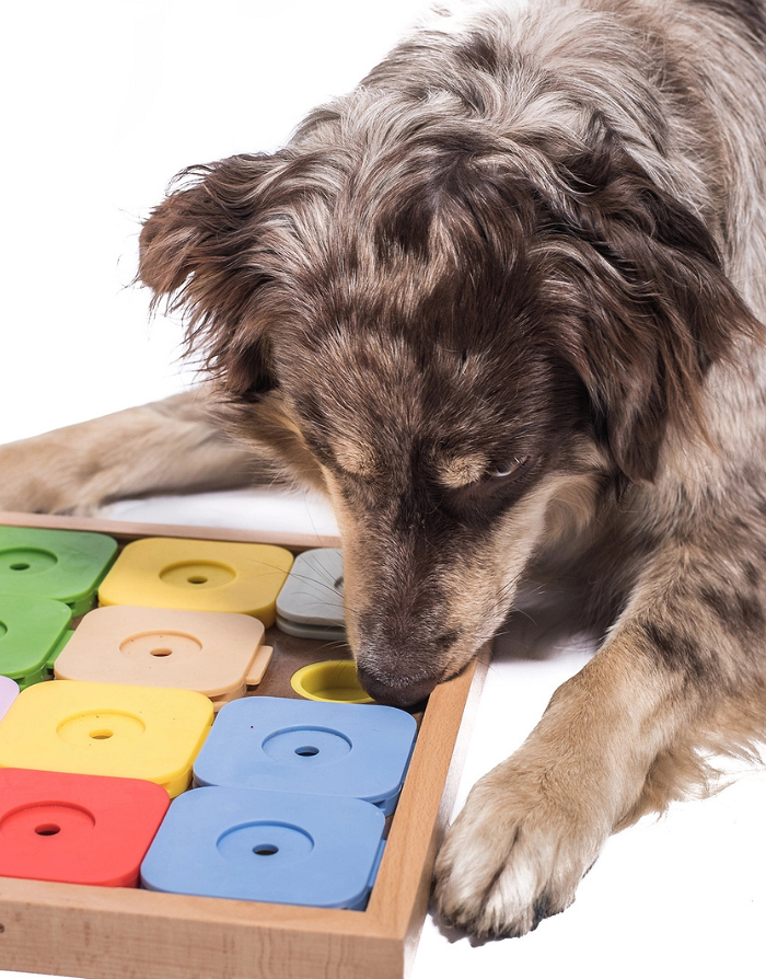 Jouet Intelligent Distributeur De Friandises Pour Chien Wapasezyar - Ralentit L'alimentation, Stimule L'activité
