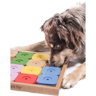 jouet-chien-niveau-difficile-interactif-my-intelligent-pets