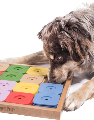 jouet-chien-niveau-difficile-interactif-my-intelligent-pets