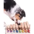 Piano Éducatif en Bois pour Chien - Jeu d'Éveil Musical My Intelligents Pets
