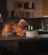 Intérieur luxueux et cosy avec un panier et des gamelles design pour chien.