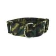 Collier Camouflage pour Chien – Résistant, Réglable & Stylé