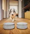 Gamelle design en pierre naturelle chiens chats -  Bella Concept Store Dog