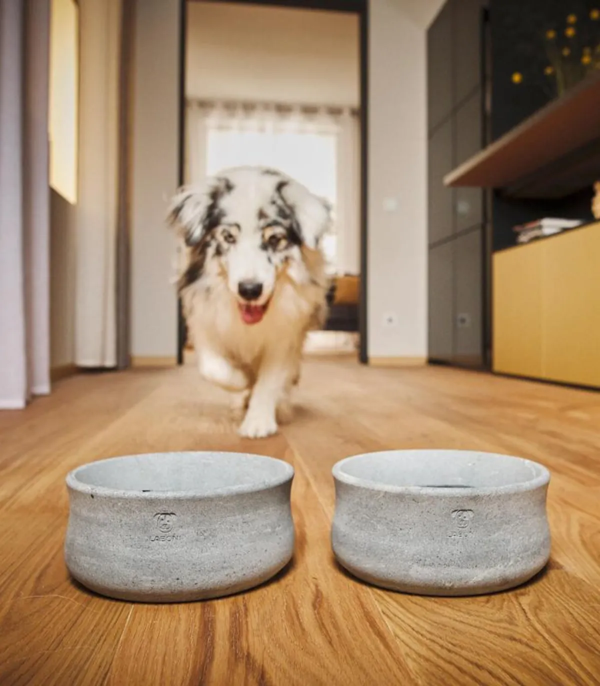 Gamelle design en pierre naturelle chiens chats -  Bella Concept Store Dog