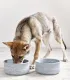 Bol pierre naturelle pour chiens et chats luxe design.