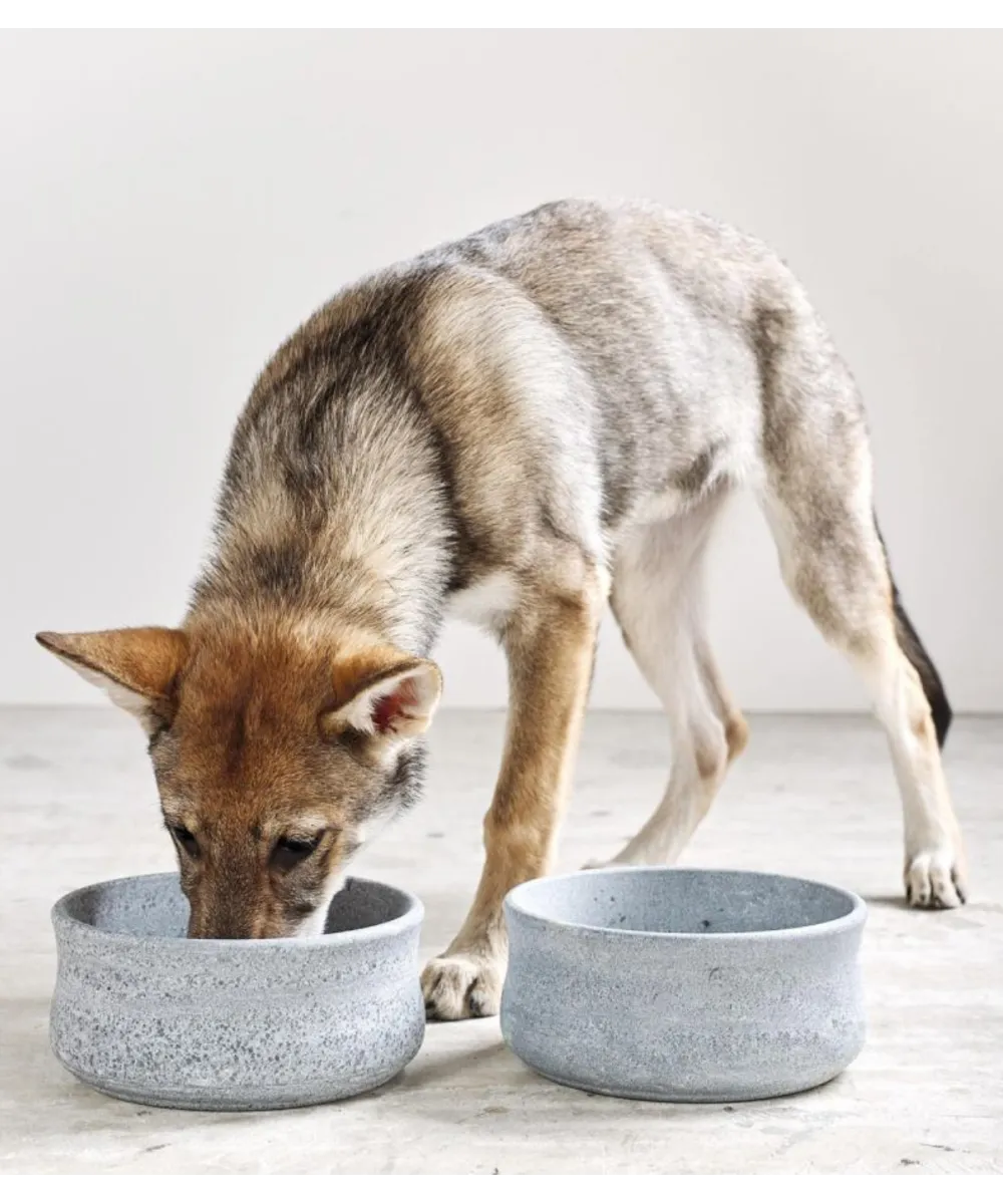 Bol pierre naturelle pour chiens et chats luxe design.