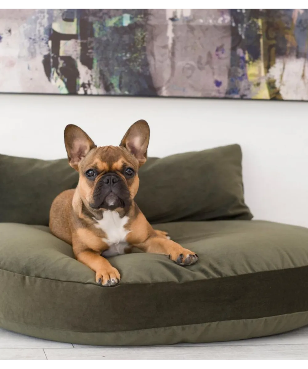 Bouledogue sur le coussin pour chien Luna Lounge Oxford Olive LABONI