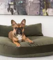 Bouledogue sur le coussin pour chien Luna Lounge Oxford Olive LABONI