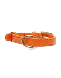 Collier pour Chien Orange en Cuir Véritable - Élégance & Confort