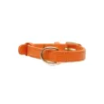 Collier pour Chien Orange en Cuir Véritable - Élégance & Confort