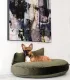 Coussin Luna Lounge Oxford Olive avec un chien sous un tableau explicatif.