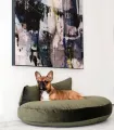 Coussin Luna Lounge Oxford Olive avec un chien sous un tableau explicatif.