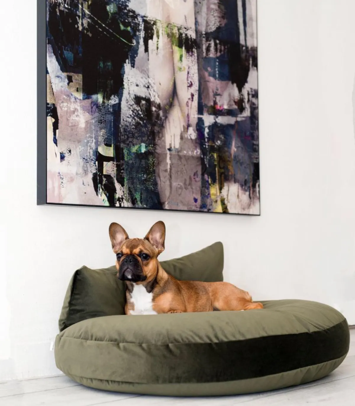 Coussin Luna Lounge Oxford Olive avec un chien sous un tableau explicatif.