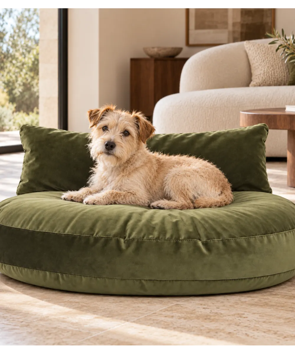 Petit chien sur le coussin Luna Lounge Olive dans un salon design.
