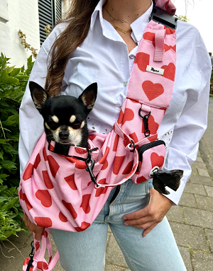 Vue portée du sac bandoulière Amore – Chien confortablement installé