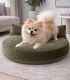 Spitz allongé sur le coussin Luna Lounge Olive dans un intérieur.