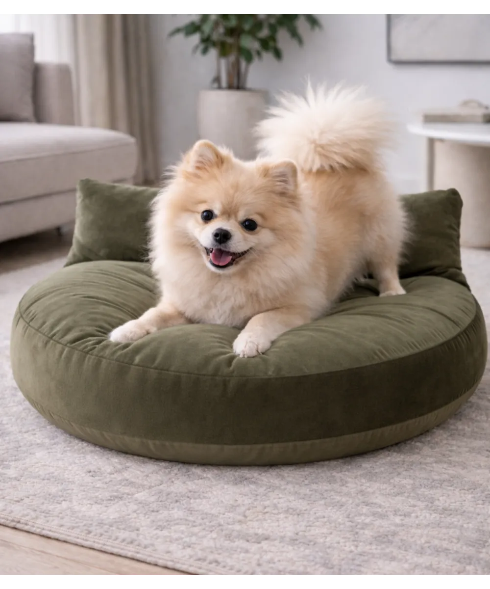 Spitz allongé sur le coussin Luna Lounge Olive dans un intérieur.