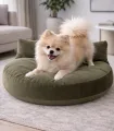Spitz allongé sur le coussin Luna Lounge Olive dans un intérieur.