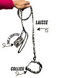 Ensemble Zèbre pour Chien - Collier, Laisse, Sac à Crottes Assortis - Élégance & Style